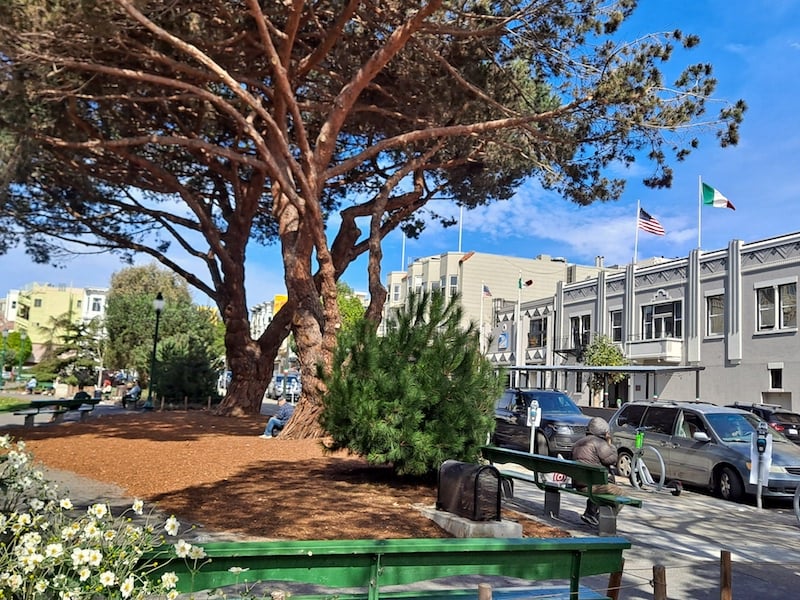 wine events at the SFIAC