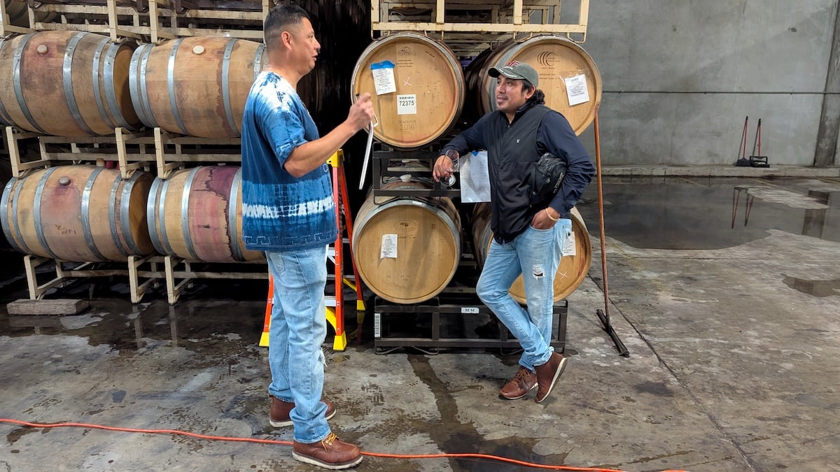 Reca Wines