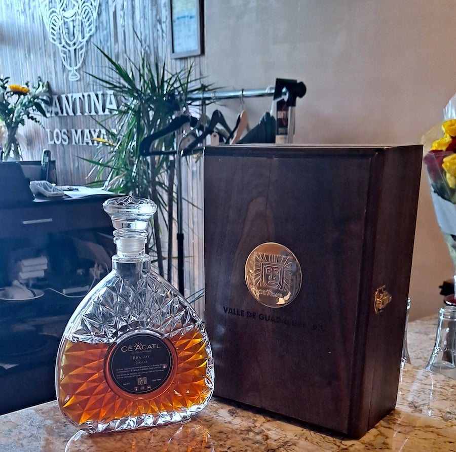 Mexico's wine